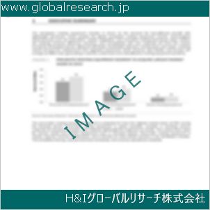 グローバルリサーチ調査資料のイメージ